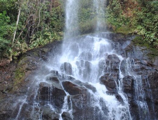 Parque Estadual do Pau Furado