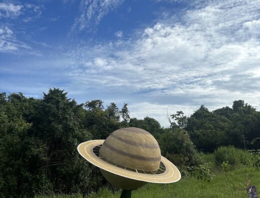 Parque Gávea