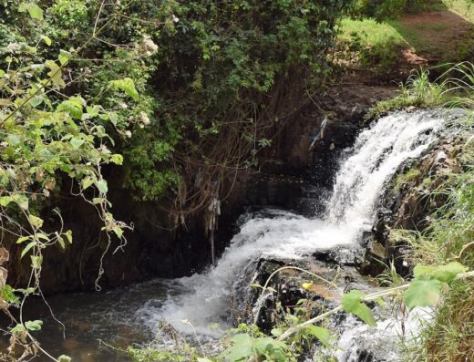 Parque Linear Córrego Lagoinha (Cachoeirinha)