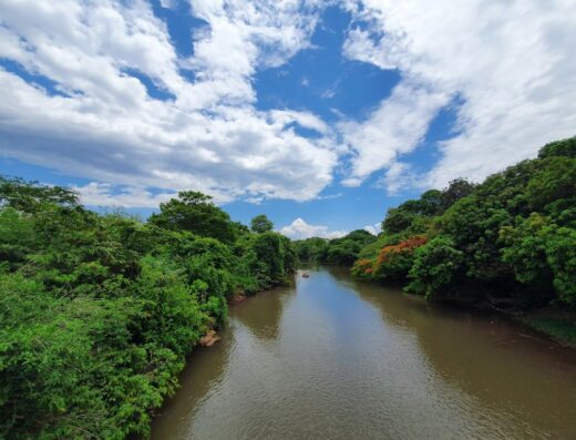 Parque Linear Rio Uberabinha