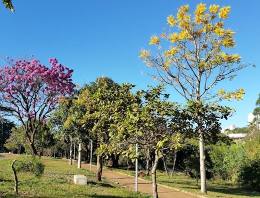 Parque Linear Rio Uberabinha